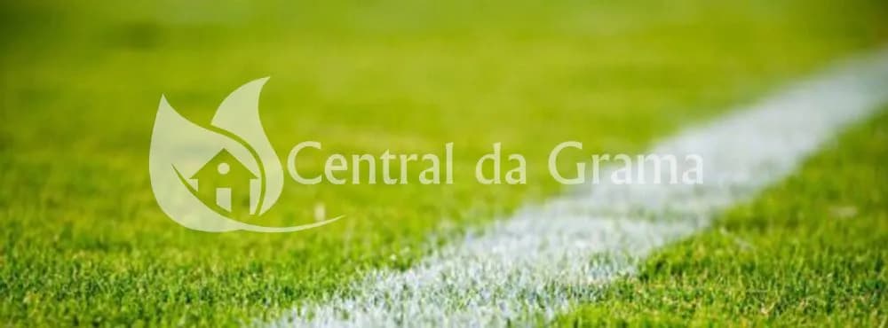 capa de conteúdo de grama para campo de futebol